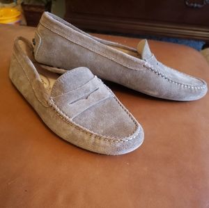 Tod's taupe suede driving loafers